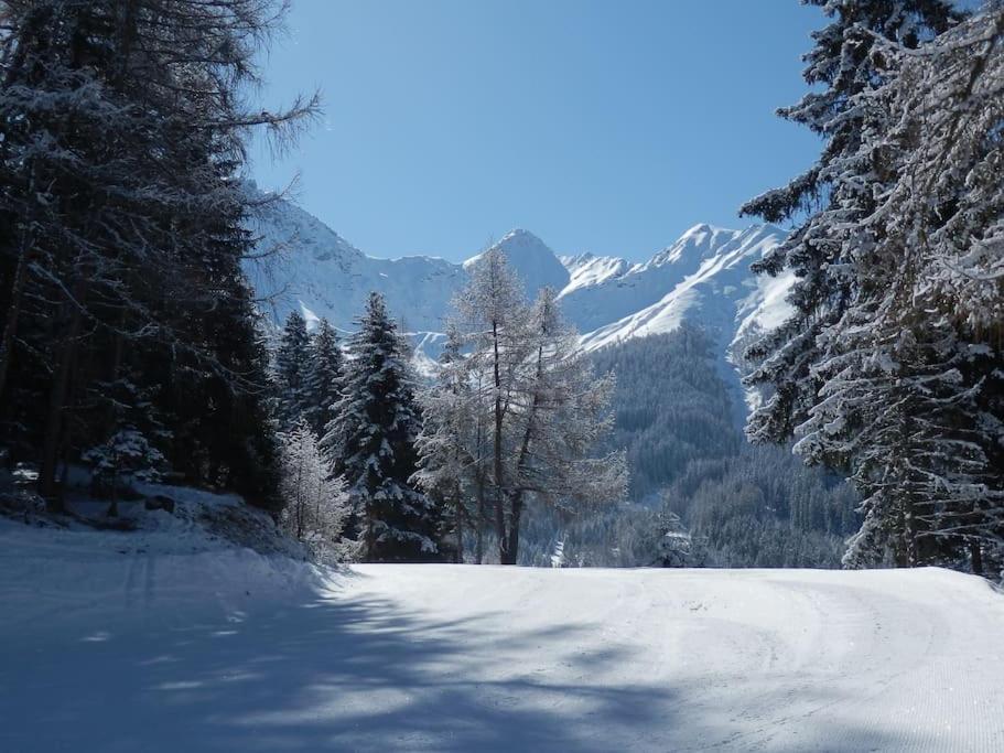 Appartamento Siegi'S Ferienhuette Fendels Esterno foto