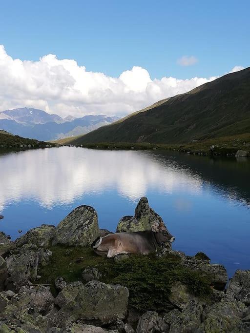 Appartamento Siegi'S Ferienhuette Fendels Esterno foto
